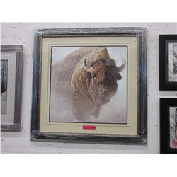 Robert Bateman print "Chief Bison"