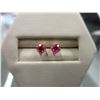 Image 1 : Ruby & Gold post earrings