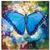 Image 2 : Blue Morpho by Simon Bull
