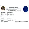 Image 2 : 23.92ctw Cabochon Tanzanite Parcel