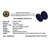 Image 2 : 15.38ctw Oval Mixed Blue Sapphire Parcel