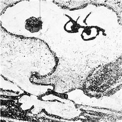 Rage Rover by Tom Everhart