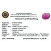 Image 2 : 12.96ctw Oval Ruby Parcel
