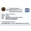 Image 2 : 9.73ct Cushion Cut Natural Cushion Cut Aquamarine