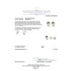 Image 3 : 1.11ctw Diamond Stud Earrings - 14KT White Gold