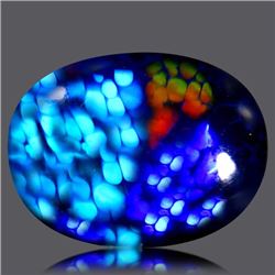 Stunning Full Fire Natural Black Opal 5.95 carats