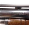Image 5 : Stock No. 1008S-250