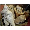 Image 1 : FLAT OF OWL COLLECTIBLES INCLUDING HAND CARVED