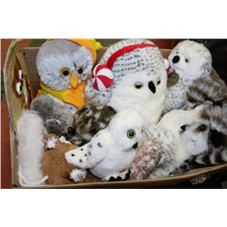 FLAT OF OWL PLUSH COLLECTIBLES