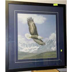 LARGE EAGLE MATTED AND FRAMED PRINT BY TELANDER