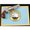 Image 3 : North American Arms Mini .22 Mag SN E067707