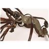 Image 2 : Deer Lodge Early Kangaroo Bridle