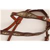 Image 3 : Beautiful Silver Bridle & Garcia Bit