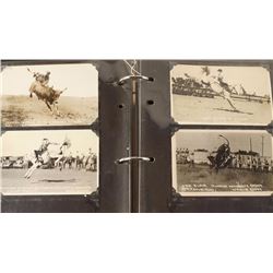 Lot of Rodeo Postcards
