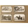 Image 2 : Lot of Rodeo Postcards