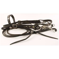 Leather Headstall & Bit