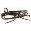 Image 1 : Leather Headstall & Bit