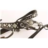 Image 3 : Leather Headstall & Bit