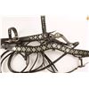 Image 8 : Leather Headstall & Bit
