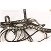 Image 8 : Leather Headstall & Bit