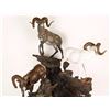 Image 3 : Fine Art Bighorn & Dall Sheep Bronze by Krausz