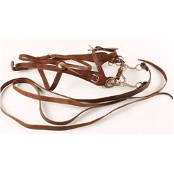 Beautiful Hand Carved Bridle & Reins