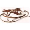 Image 1 : Beautiful Hand Carved Bridle & Reins