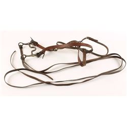 Leather Headstall & McChesney Bit