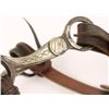 Image 2 : Leather Headstall & McChesney Bit