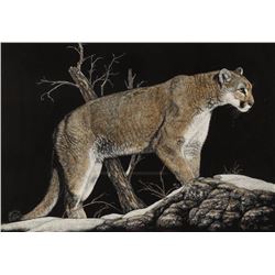 "Silent Stalker" Print by Deborah Liszt