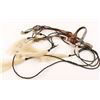 Horsehair Bridle