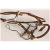 Image 2 : Nickel Plated Headstall