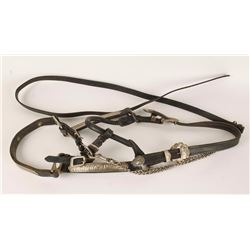 Nickel Plated Headstall