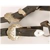 Image 3 : Nickel Plated Headstall