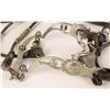Image 2 : Pretty Nickel Plated Headstall