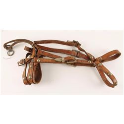 Spotted Leather Bridle