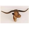 Image 1 : Hand Carved Longhorn