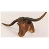 Image 2 : Hand Carved Longhorn