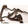 Image 3 : Leather Pony Bridle & Bit