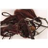 Image 4 : Maroon Fleming Horsehair Bridle & Reins