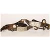 Image 3 : Pair of Kelly Spurs