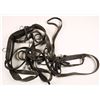Image 3 : Carriage Set of Reins & Bridles