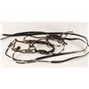 Image 1 : C.R. Shipley Silver Ferrels Headstall & Reins