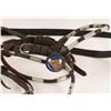Image 2 : C.R. Shipley Silver Ferrels Headstall & Reins
