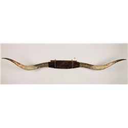 Texas Longhorns