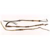 Image 1 : Collection of 3 Quirts