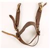 Image 3 : Western Breast Collar & Bridle