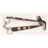 Image 1 : Headstall & Bit