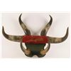Image 1 : Bunkhouse Bullhorn Wall Hanging
