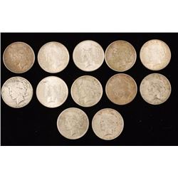 Collection of 12 Peace Silver Dollars